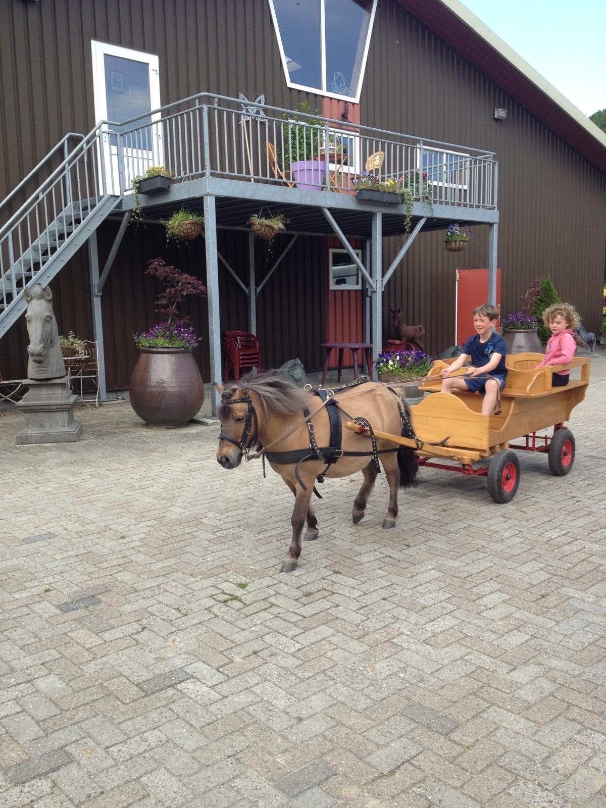 Prachtig houten menwagen voor kleine pony ,