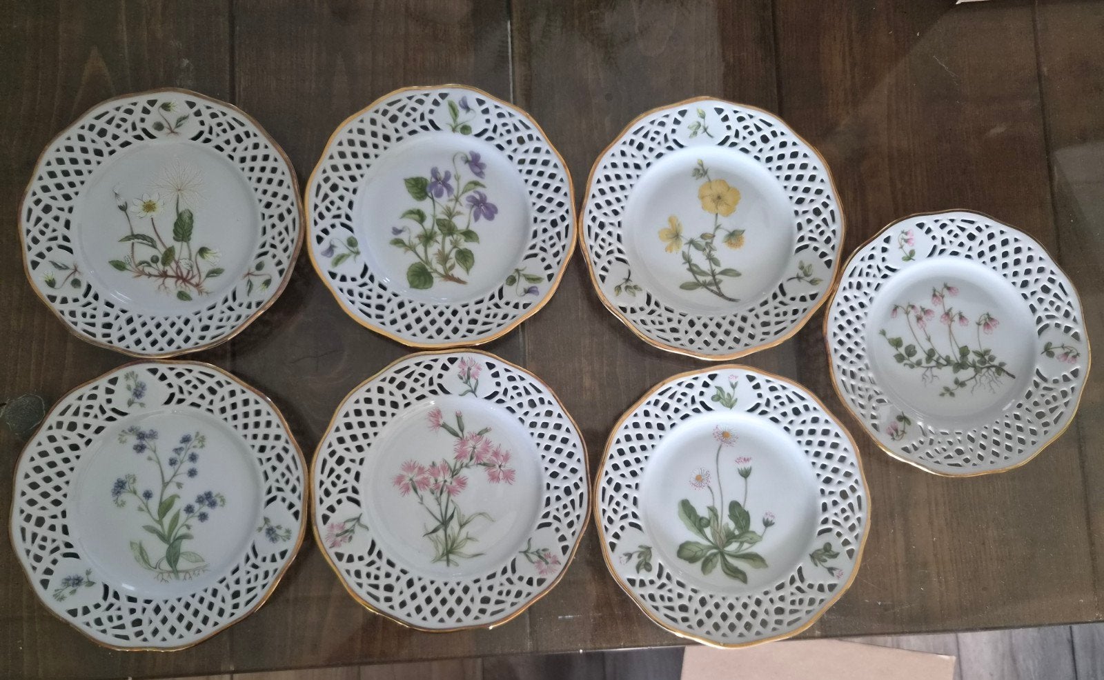 8x Fraureuth Somnium Solstitiale Botanische Borden, Ophalen of Verzenden