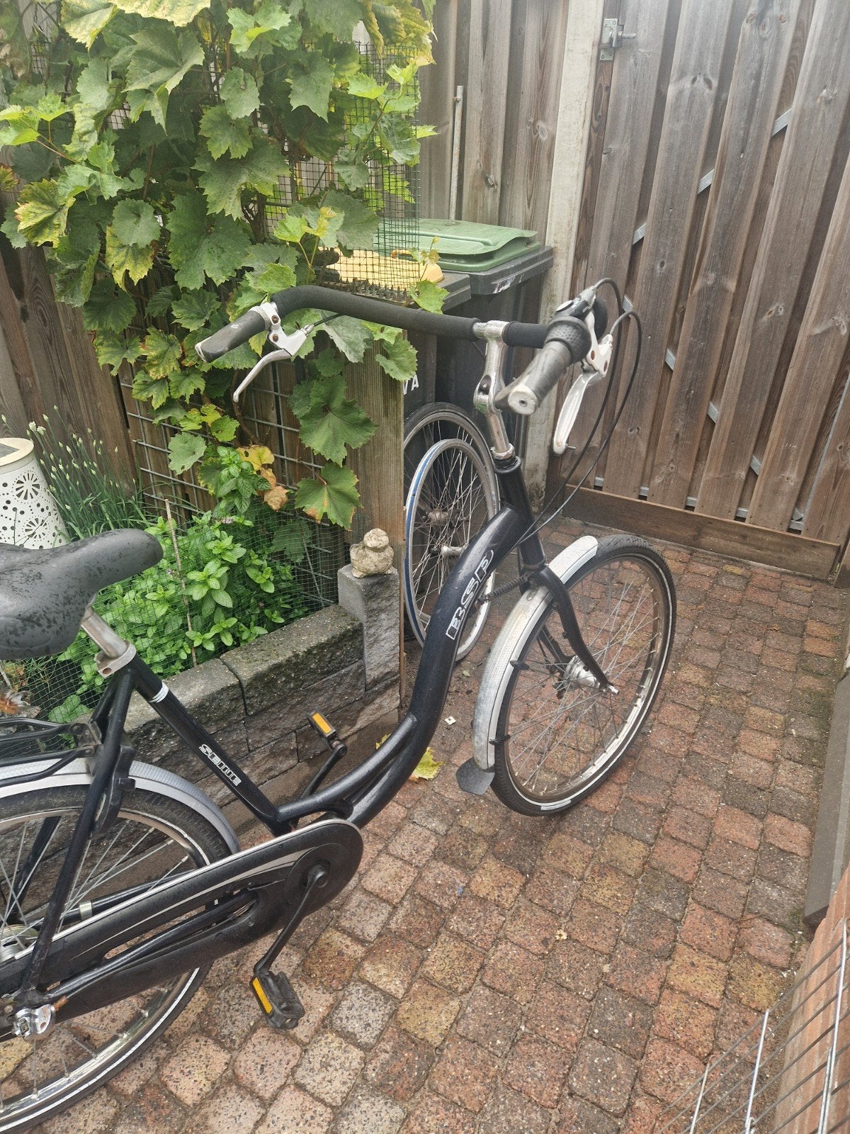 moederfiets, Versnellingen, 0 zitjes, Trommelrem, Ophalen