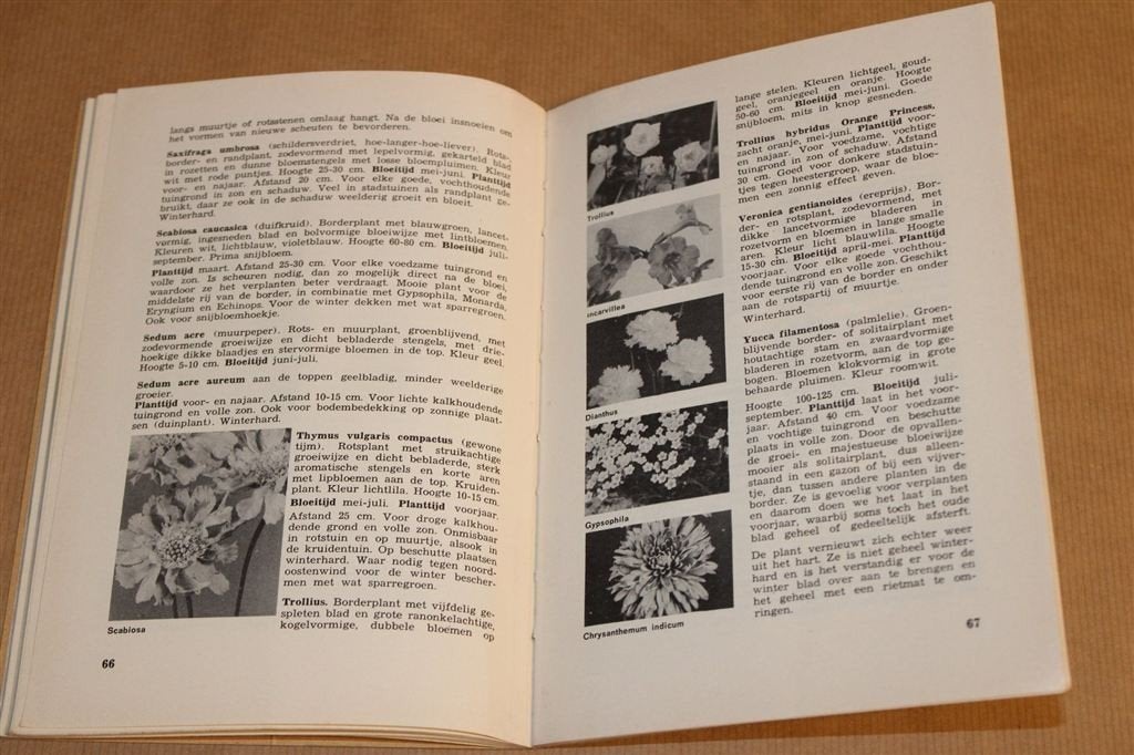 De Verzorging van Bloemen en Planten — A.C. Muller-Idzerda, Boeken, Ophalen of Verzenden, Gelezen, Bloemen, Planten en Bomen