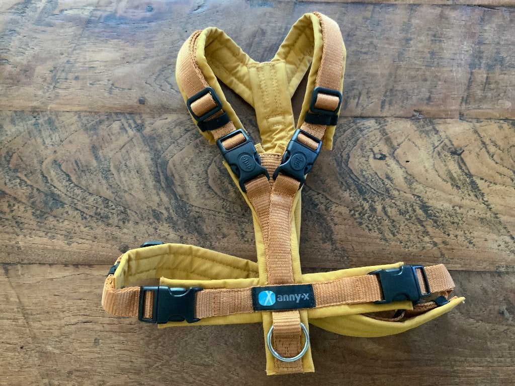 Mooi gevoerd hondentuigje van Anny - X, Dieren en Toebehoren, Verzenden, Nieuw, Hondenriem-accessoire