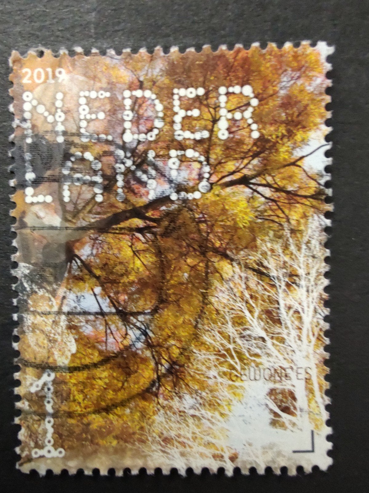 3780 gewone es 2019 beleef de natuur, Ophalen of Verzenden