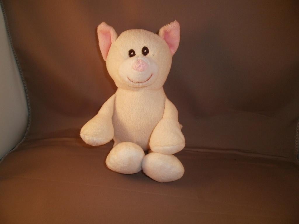 c11 zeeman poes/varken knuffel wit/roze oren en neus 22 cm, Overige merken, Overige karakters, Overige typen, Nieuw