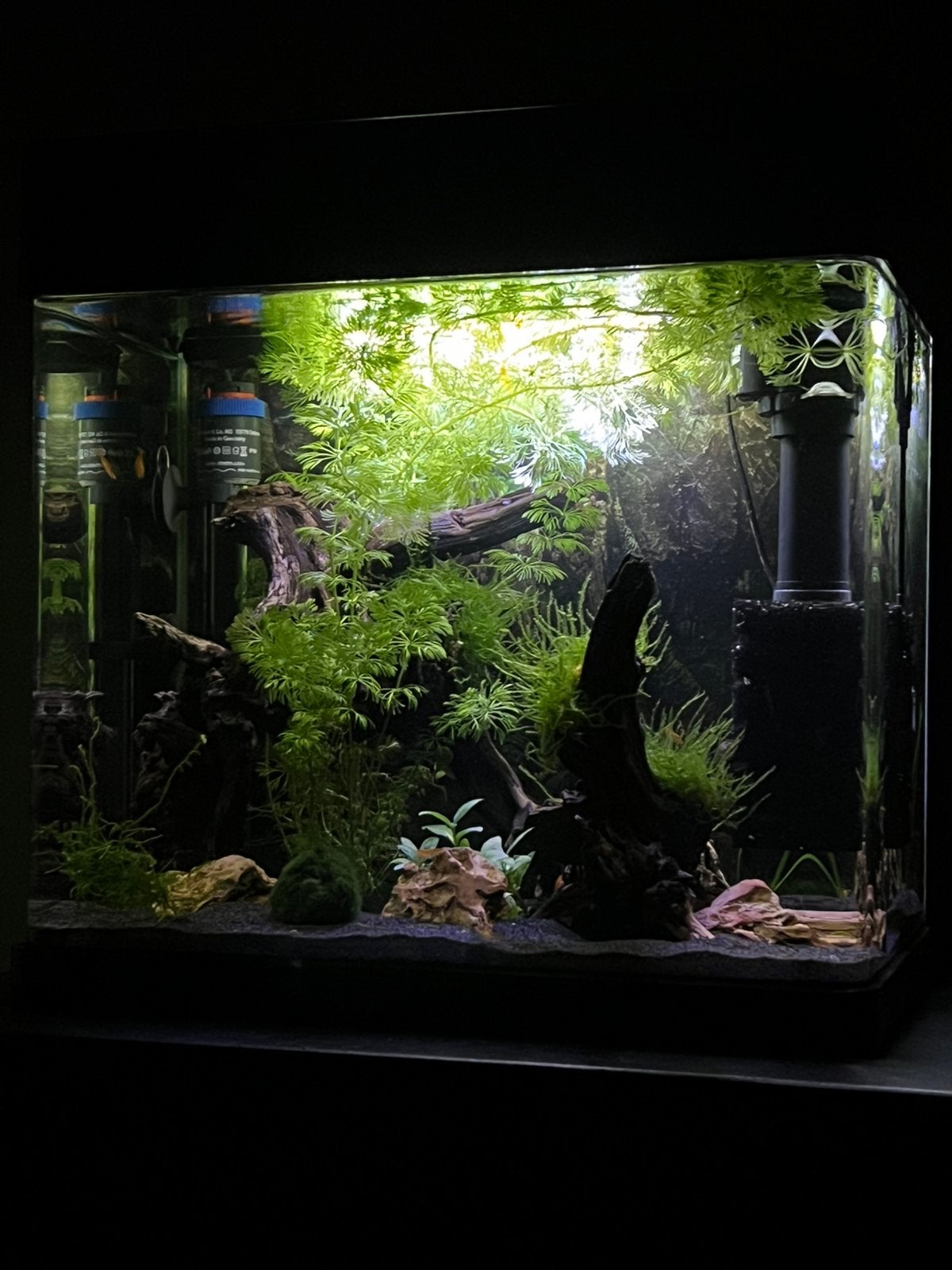 Garnalen aquarium, Ophalen, Superfish, Inclusief vissen, Gevuld zoetwateraquarium