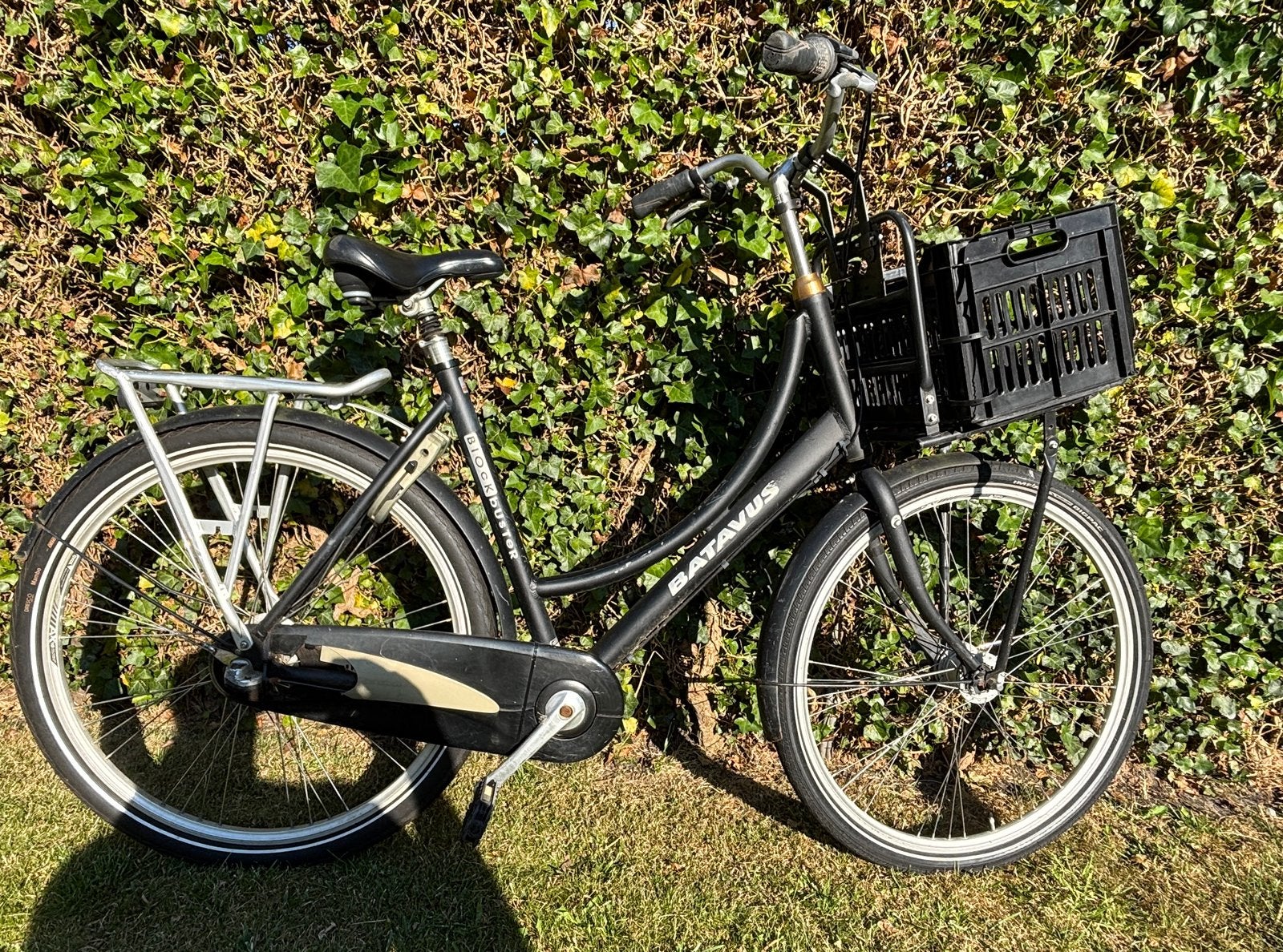Batavus Block Buster, Ophalen of Verzenden, Gebruikt, Trommelrem, 16 tot 20 inch