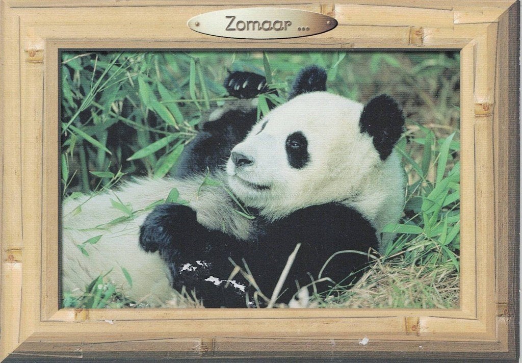 Panda ligt er lui bij 362, Verzamelen, Ansichtkaarten | Dieren, Ophalen of Verzenden, 1980 tot heden, Gelopen, Wild dier
