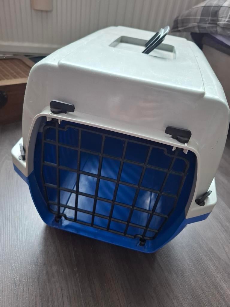 Kattenreismand, Dieren en Toebehoren, Verzenden