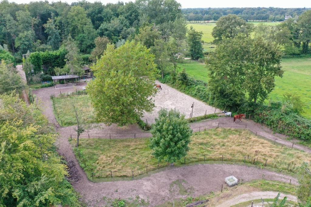2 plekken kleinschalige paddock paradise Eemnes, Dieren en Toebehoren, Stalling en Weidegang, Stalling, 2 of 3 paarden of pony's