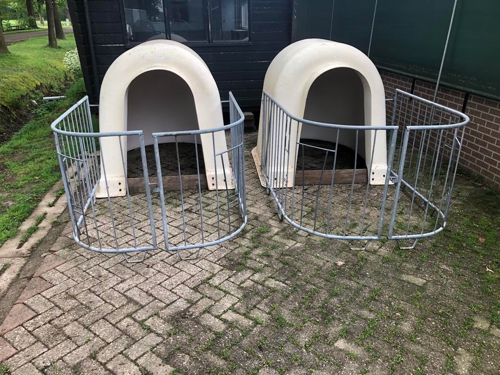 1 kalveriglo calf o tel, Weidegang
