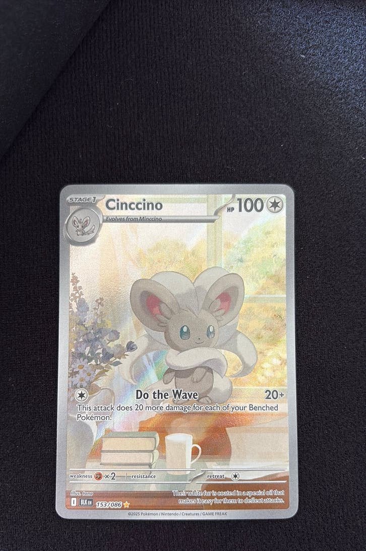 Cinccino 153/086, Ophalen of Verzenden, Nieuw, Losse kaart