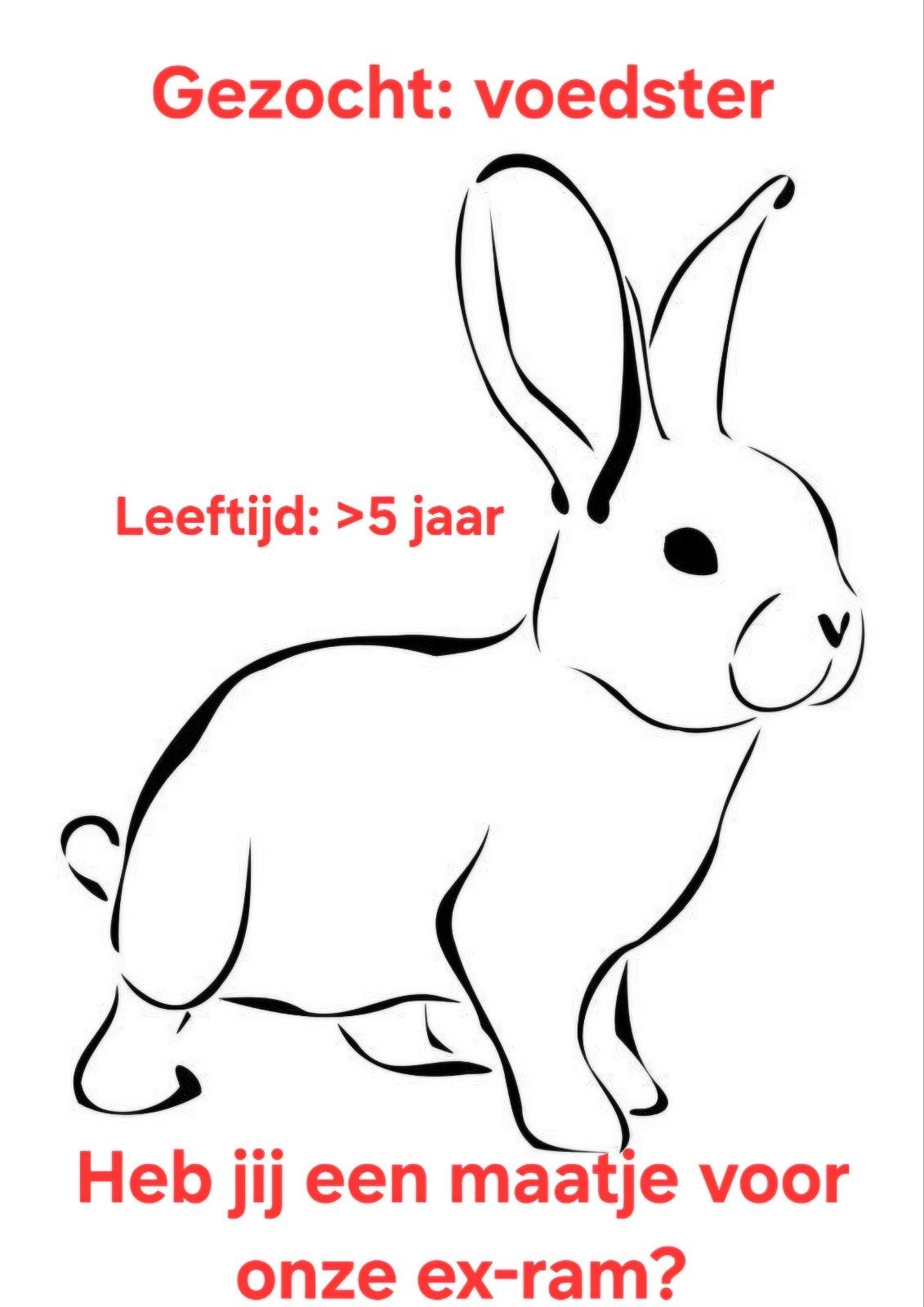 Gezocht: voedster, Dieren en Toebehoren, Vrouwelijk, Middelgroot, Hangoor, 3 tot 5 jaar