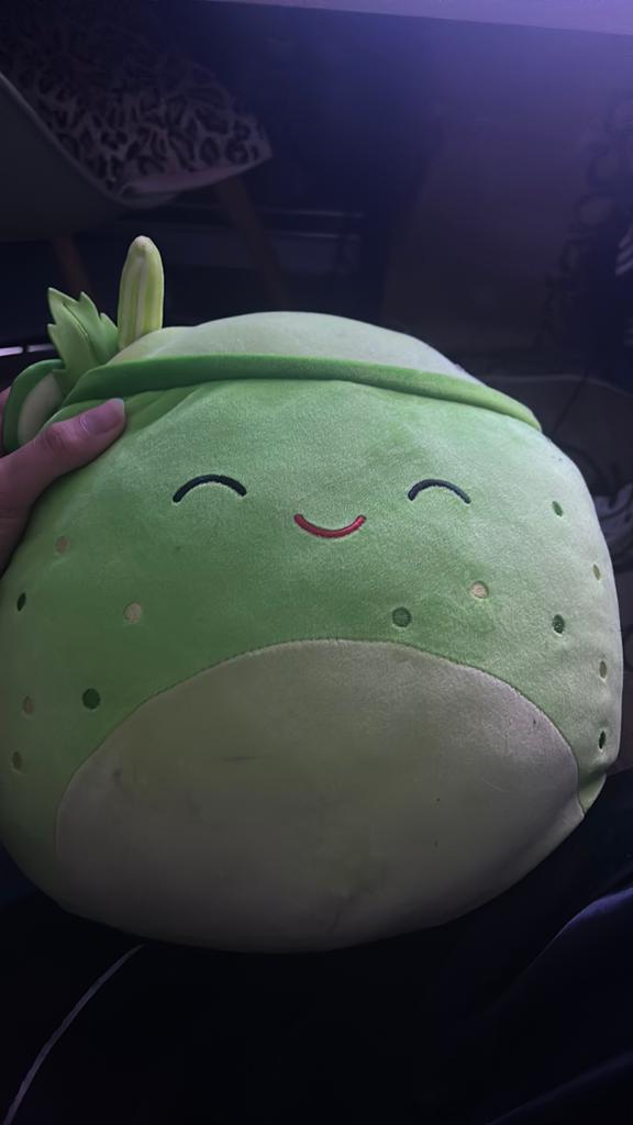 Squishmallow medium, Ophalen of Verzenden, Overige typen