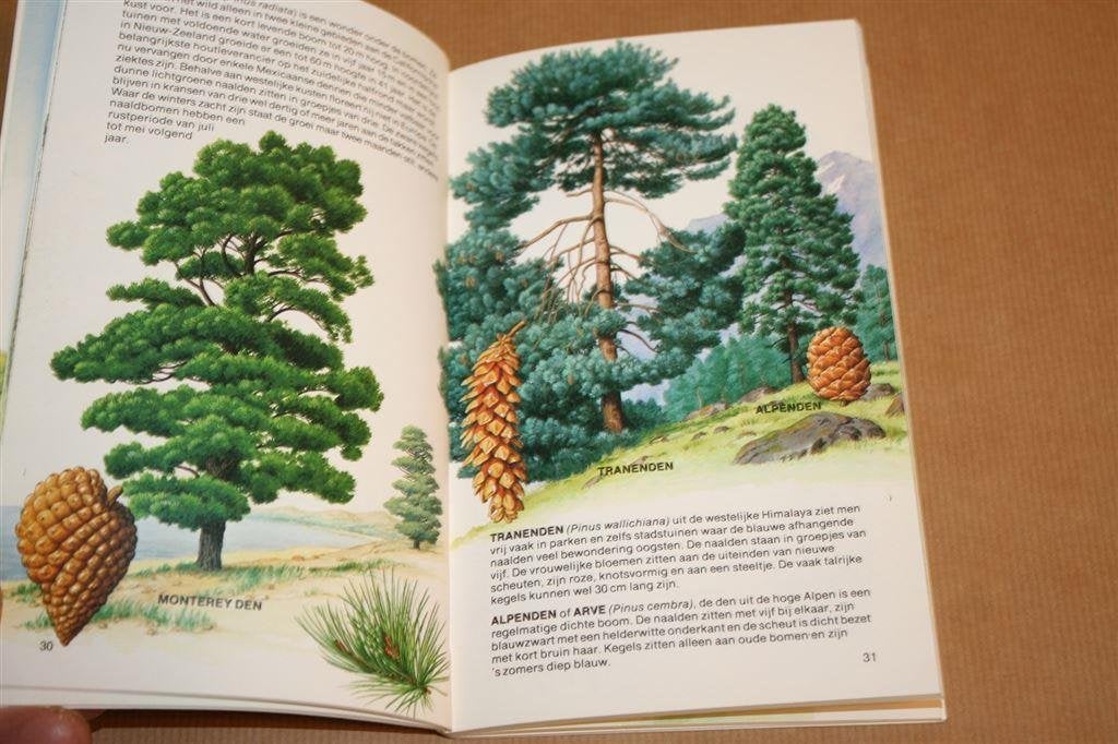 Bomen. Buitengids., Ophalen of Verzenden, Gelezen, Bloemen, Planten en Bomen