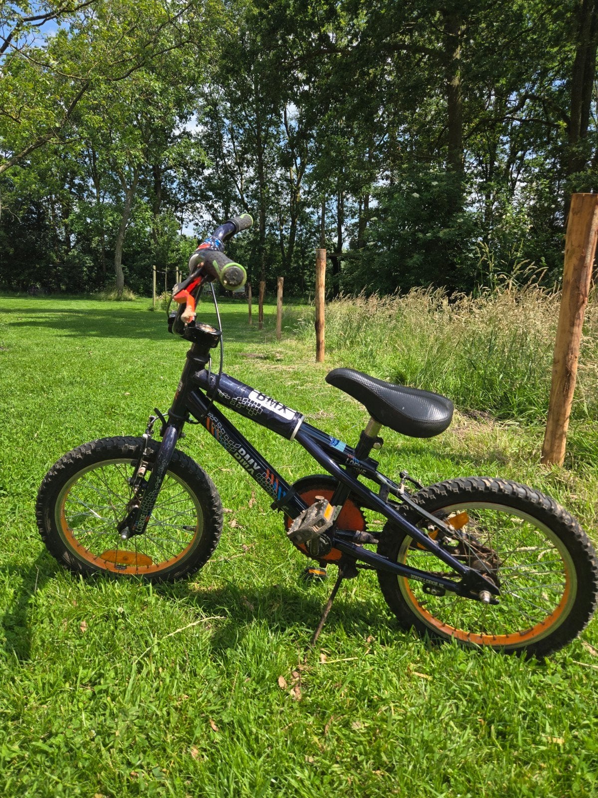 Loukie BMX fiets - Heeft wat liefde nodig, maar goede basis, Ophalen, Staal, Velgrem, Loekie