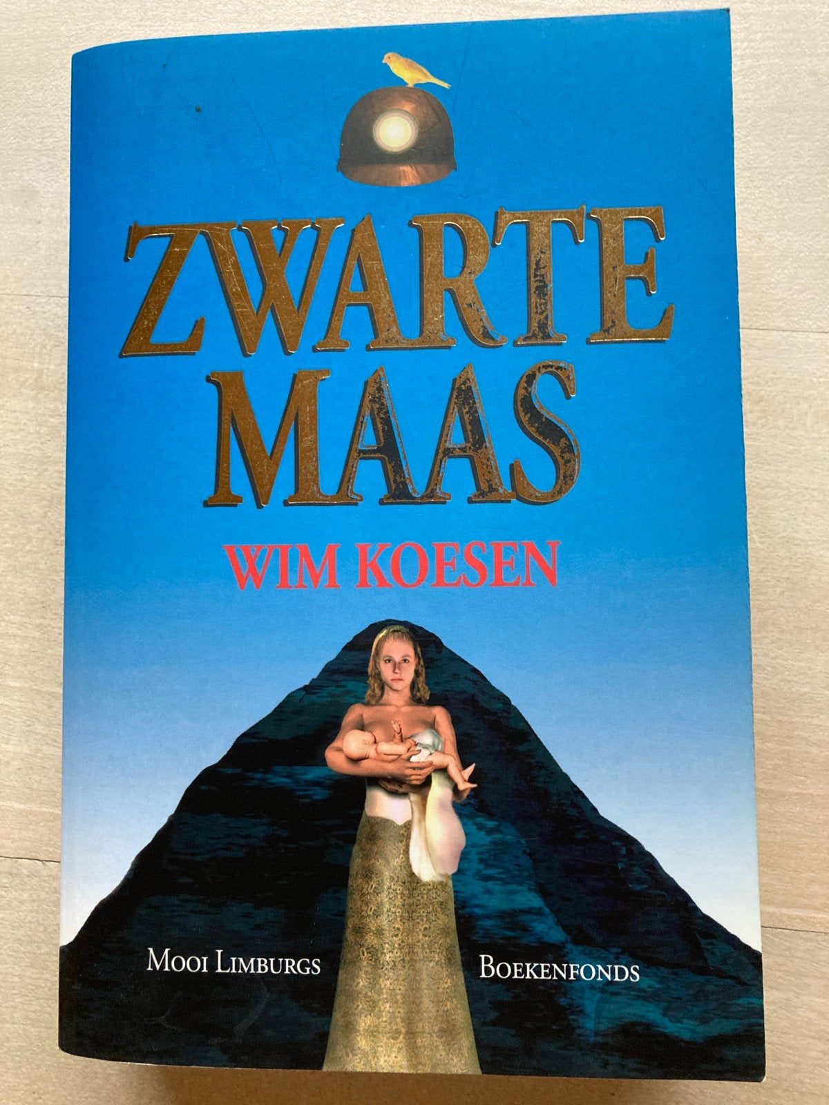 Zwarte Maas - Wim Koesen ( Mooi Limburgs Boekenfonds), Ophalen of Verzenden, Gelezen