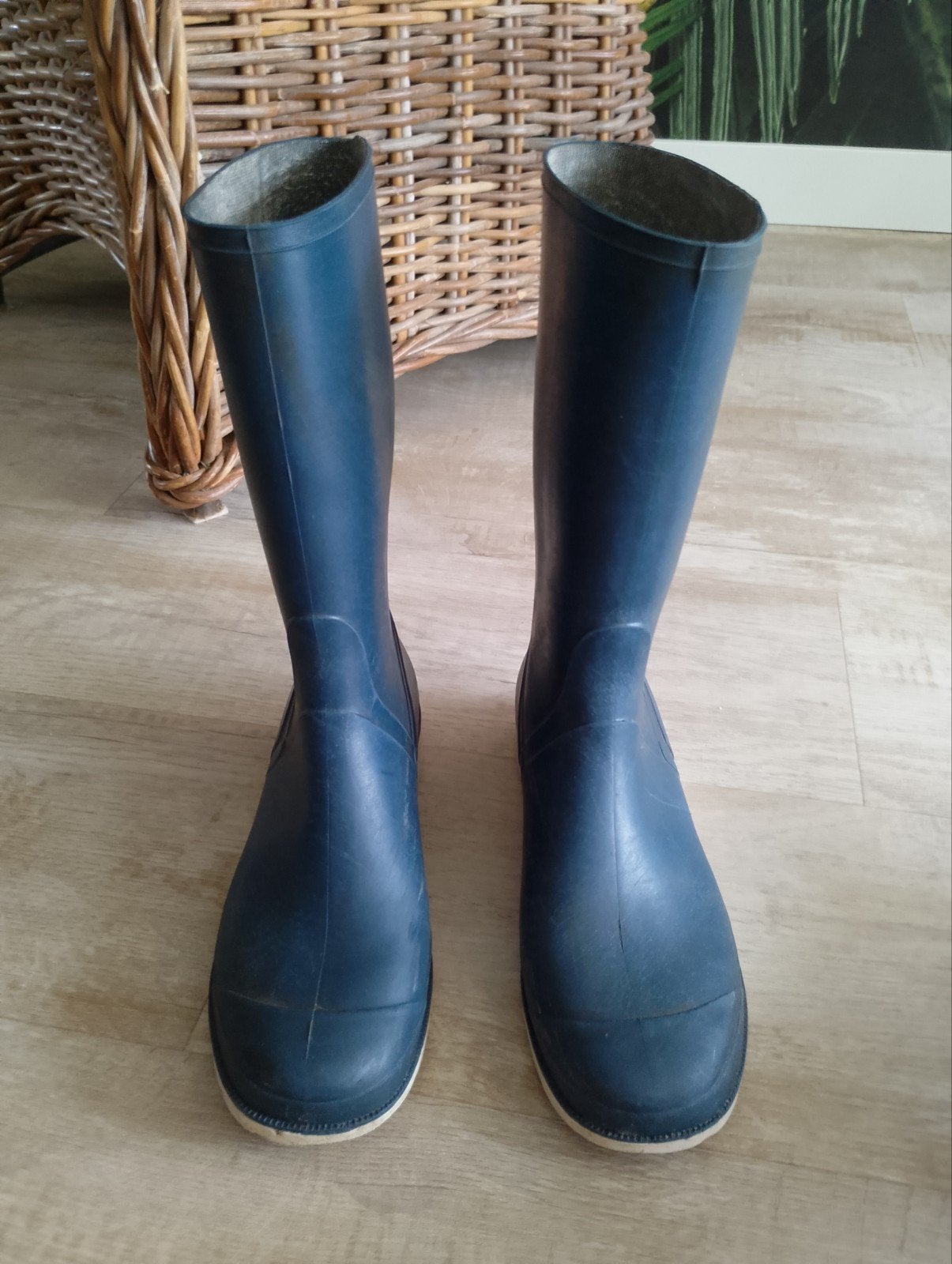 laarzen maat 39, Ophalen of Verzenden, Gebruikt, Regenlaarzen, Heren