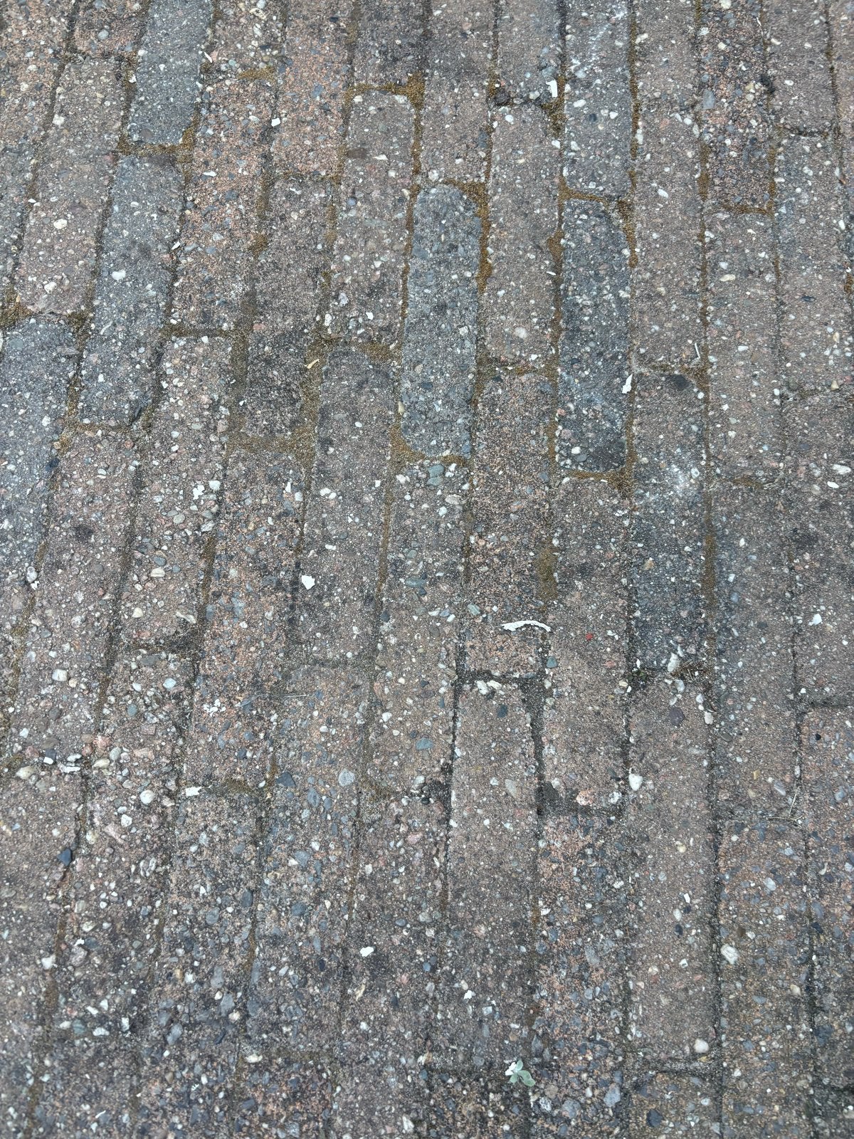 Gratis: Sierbestrating Blauw/Rood (15-16 m3), Ophalen, Gebruikt, Klinkers, 10 m² of meer