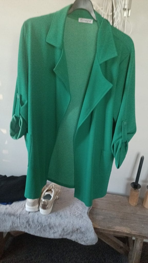 magna jasje nieuw maat 52 54, Kleding | Dames, Ophalen of Verzenden, Nieuw, Overige kleuren, Jasje of Colbert