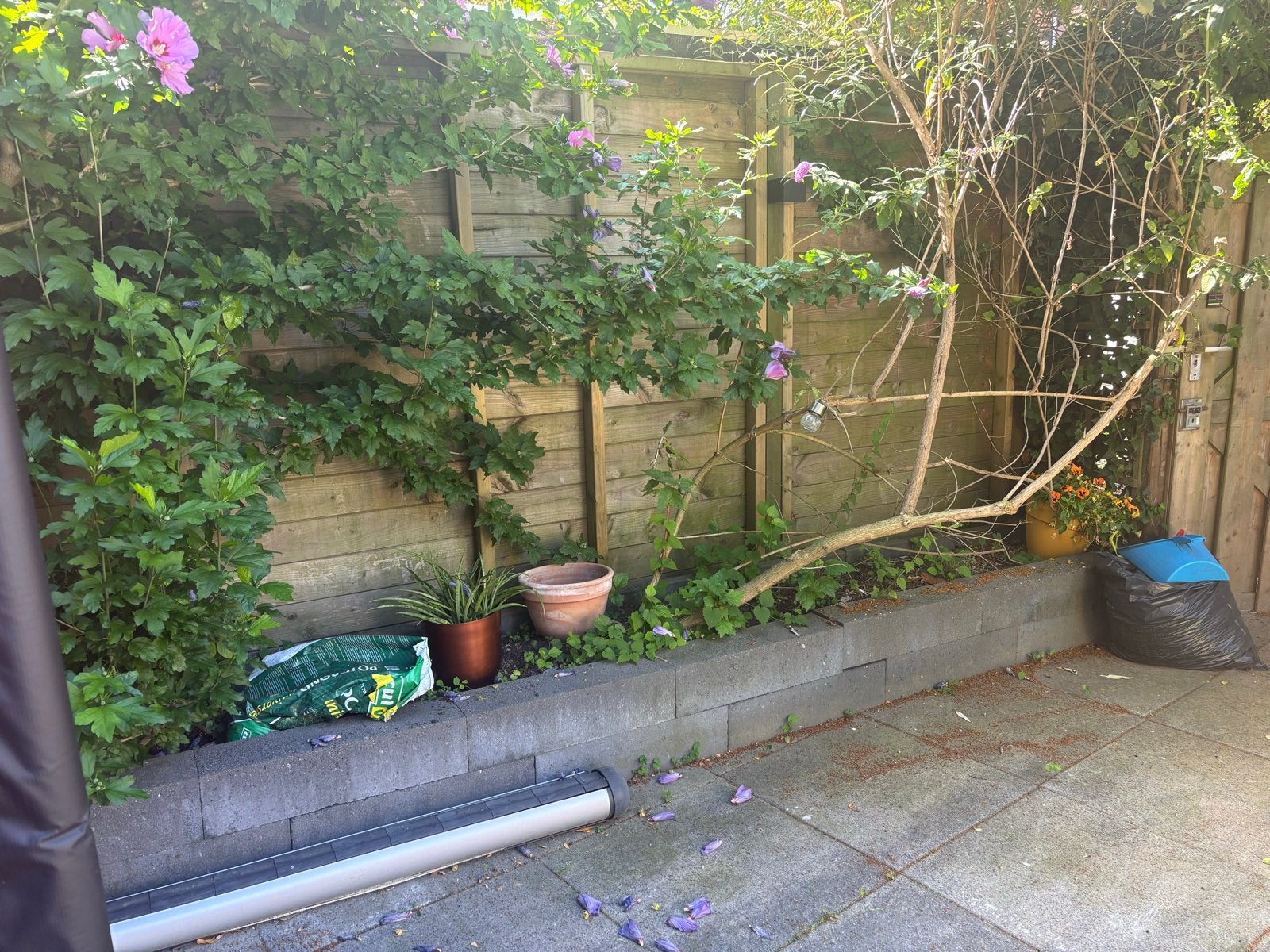 Gratis stenen voor tuin of project, Tuin en Terras, Grind, Keien en Split, Overige materialen, Gebruikt, Overige typen, Ophalen of Verzenden