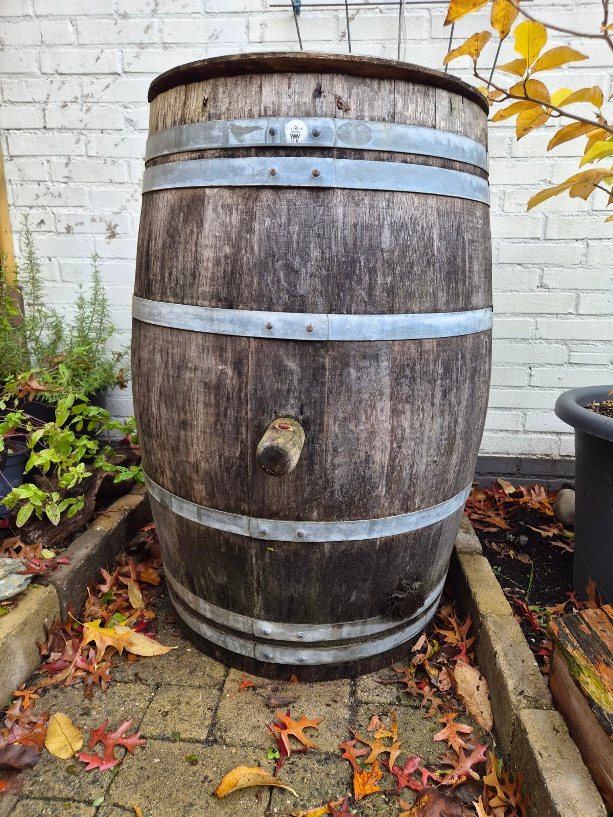 Houten regenton / wijnvat met deksel, Ophalen, Gebruikt
