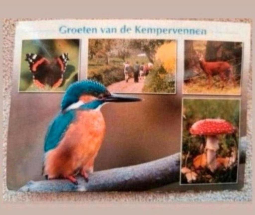 Ansichtkaart Groeten van de Kempervennen, Ophalen of Verzenden