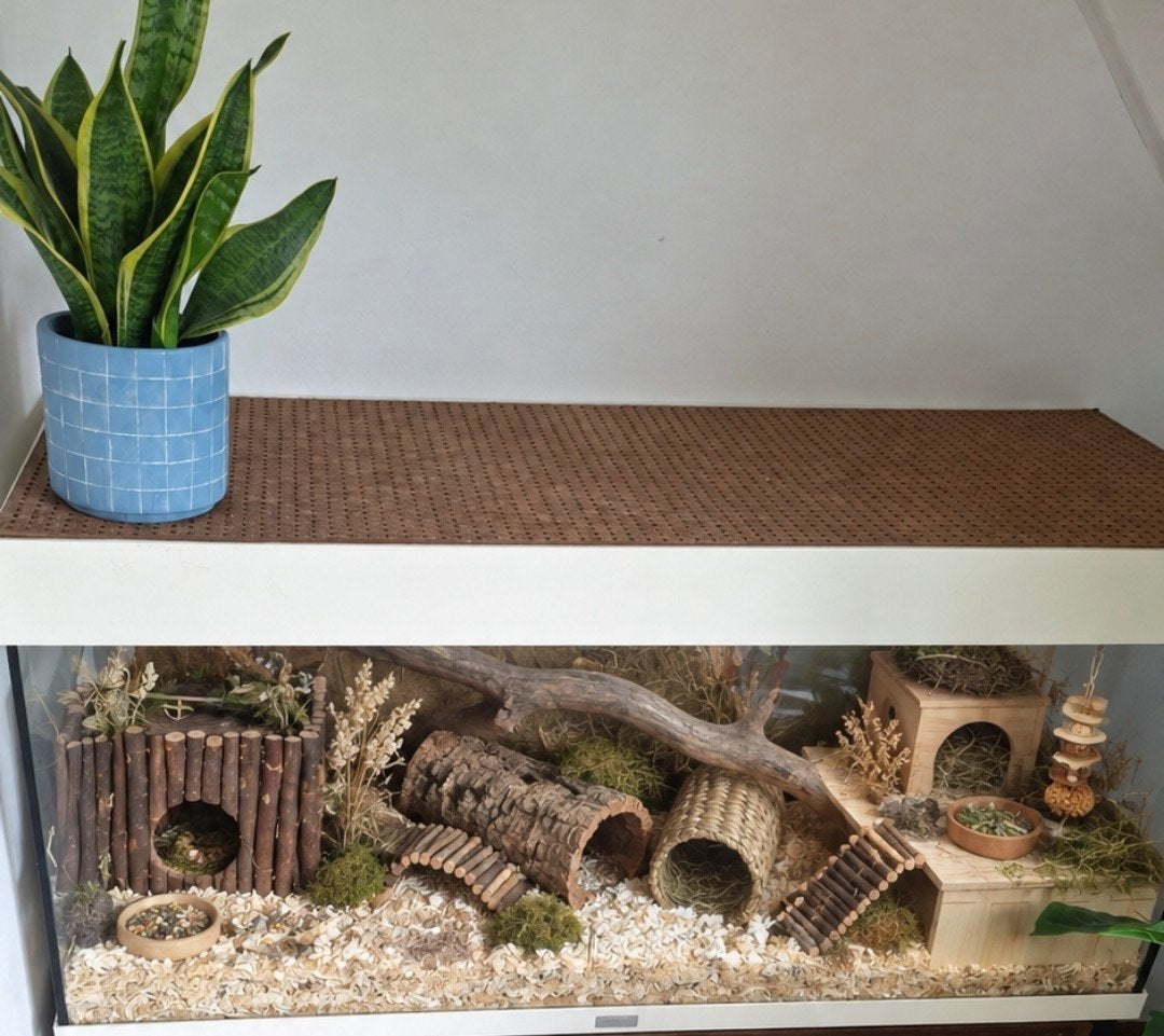 Terrarium / aquarium hamster, gerbil, muis incl inrichting, Ophalen, Gebruikt, Terrarium of Paludarium