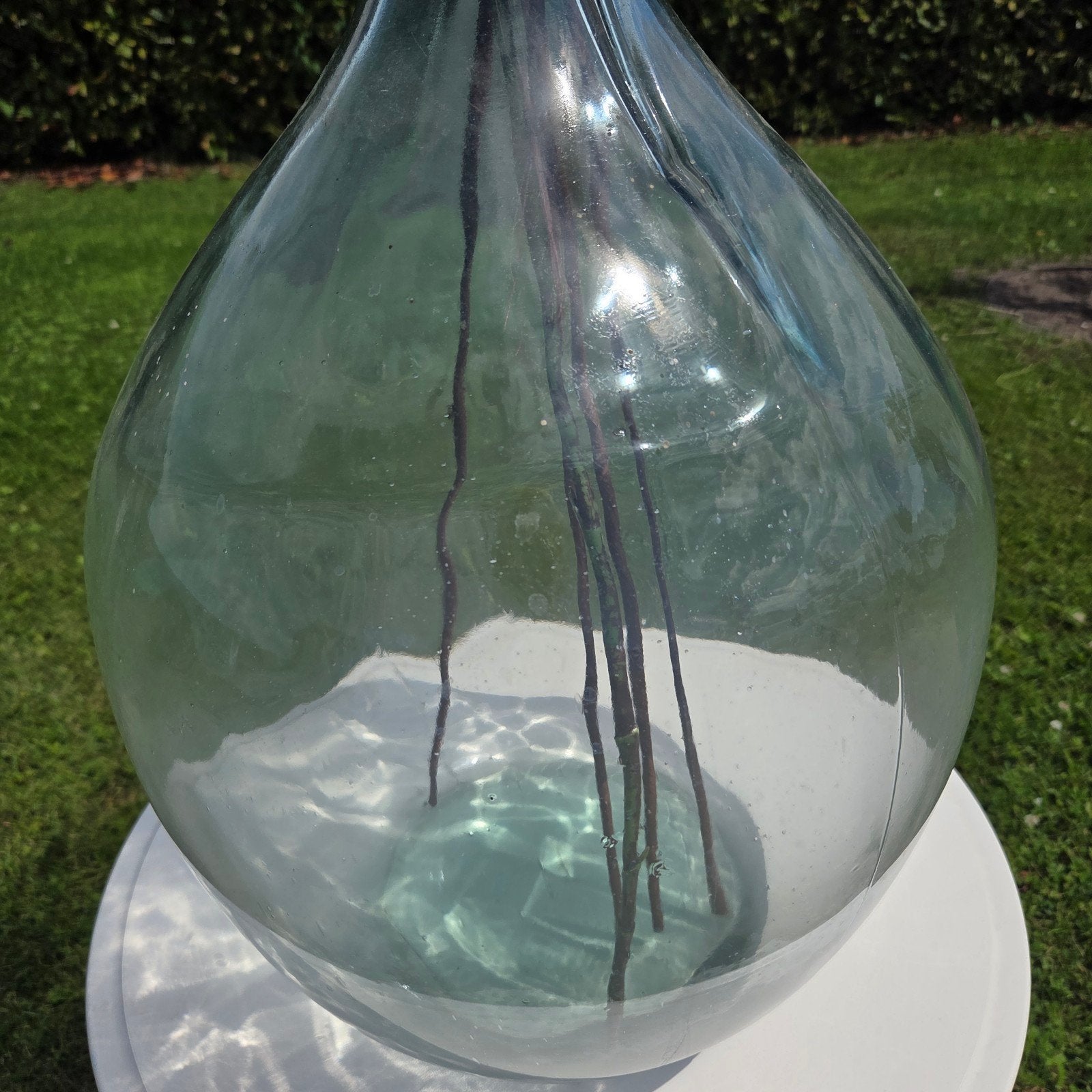 Grote gistfles Terrarium Decoratie fles Glazen vaas, Ophalen, Overige kleuren, Nieuw, Glas
