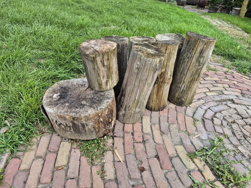 Robuuste houten boomstammen / staken voor tuin of haard, Minder dan 3 m³, Ophalen, Overige houtsoorten, Stammen