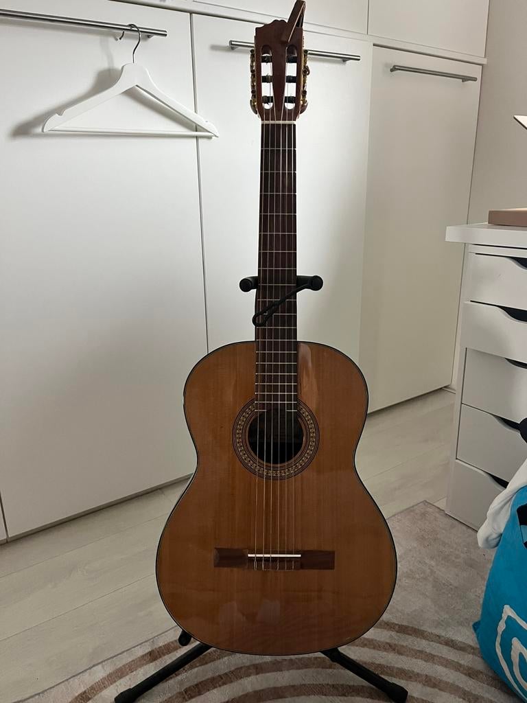 Gitaar Salvador Cortez CC21 Nieuw, Ophalen, Nieuw, Klassieke of Spaanse gitaar, 12-snarig