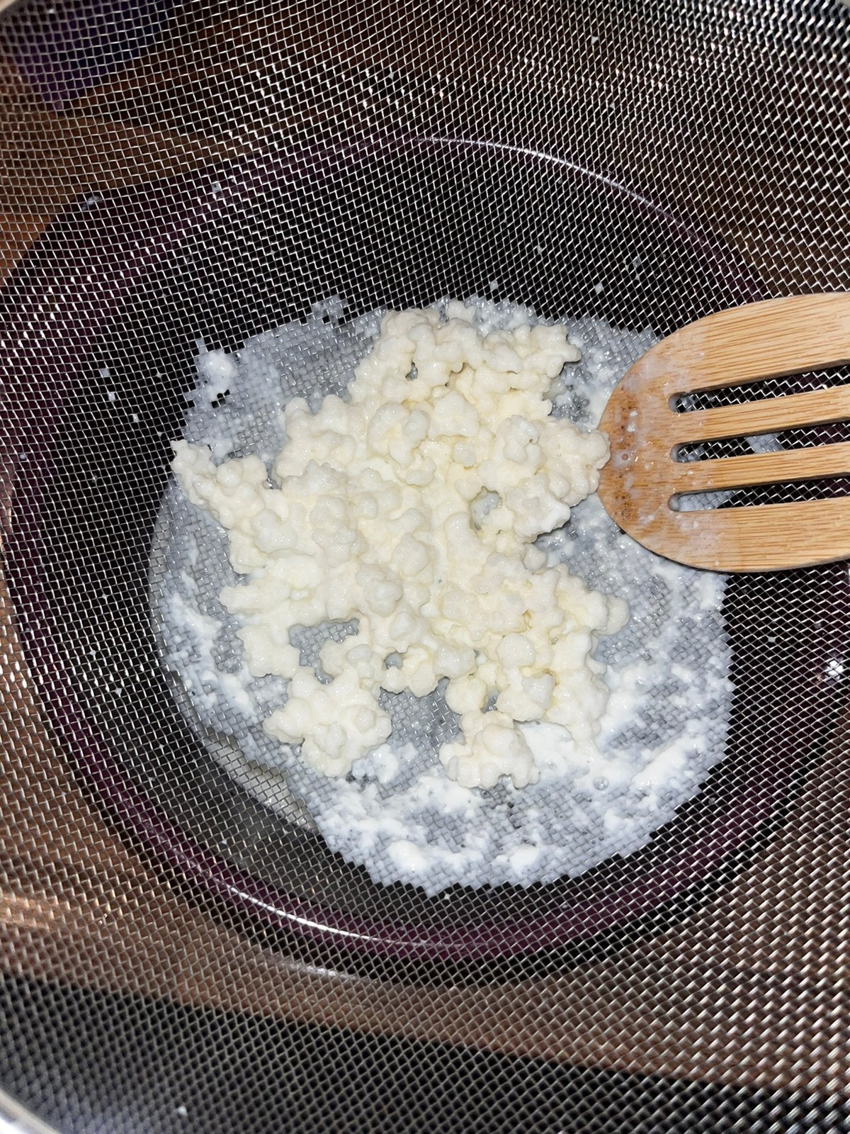 Gezonde verse kefir korrels 75GR, Ophalen