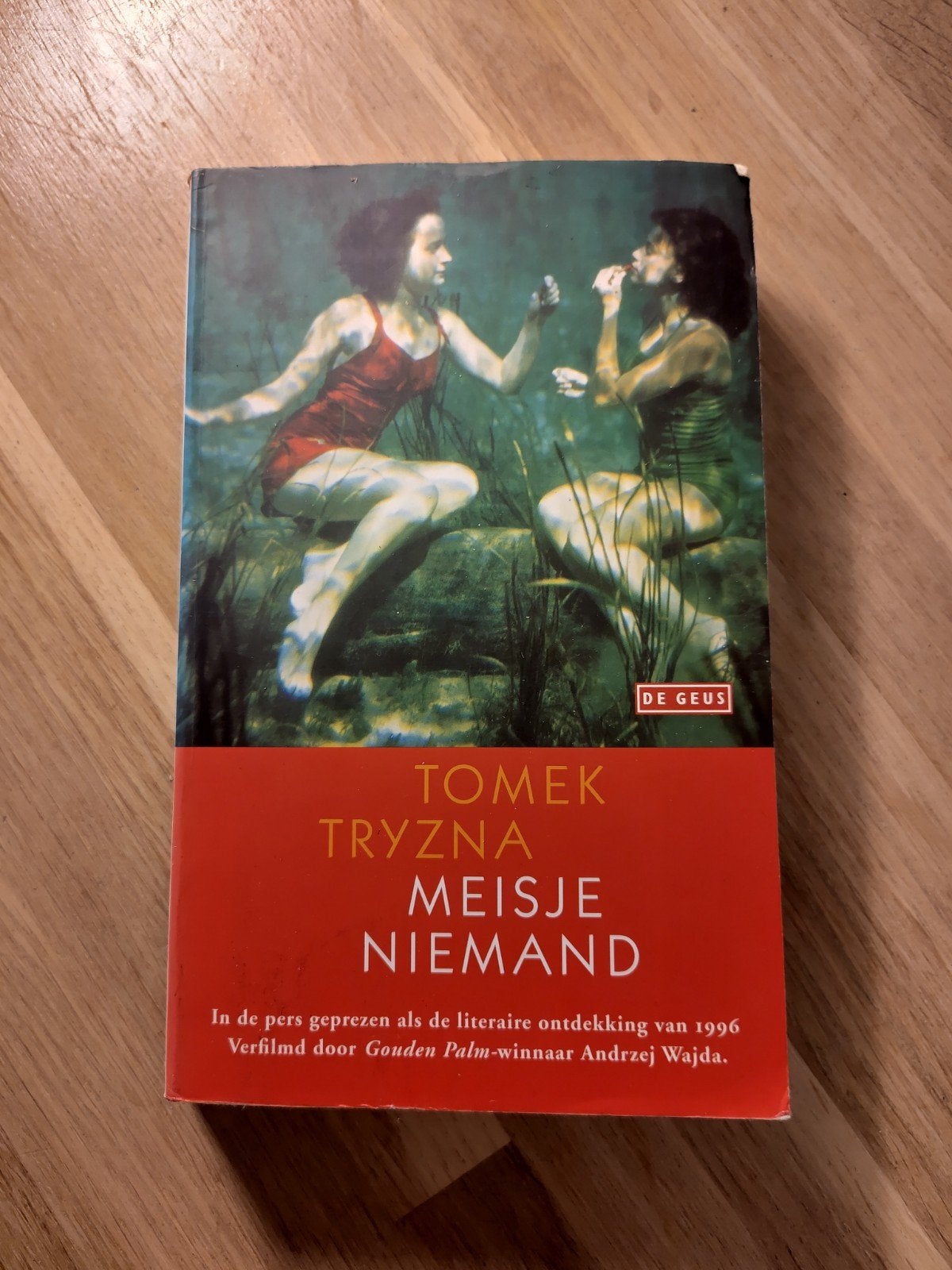 Meisje Niemand - Tomek Tryzna (De Geus), Verzenden, Gelezen, Tomek Tryzna, Europa overig