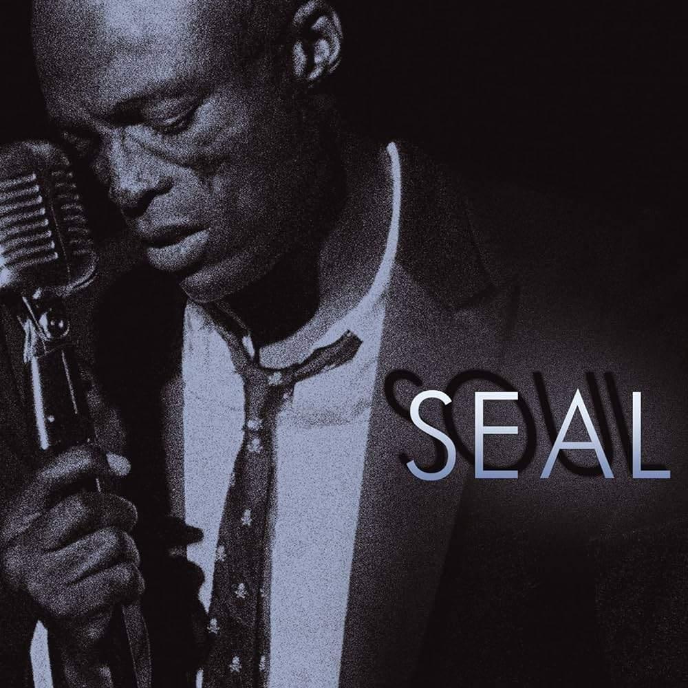 Seal CD cd-single DVD 's - hoeft niet in 1 koop, Cd's en Dvd's, Cd's | Pop, Zo goed als nieuw, Ophalen of Verzenden