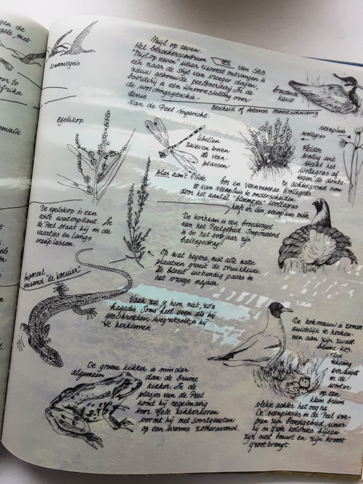 Logboek Natuur - AMRO bank boek vellum dieren, Ophalen of Verzenden, Album of Boek