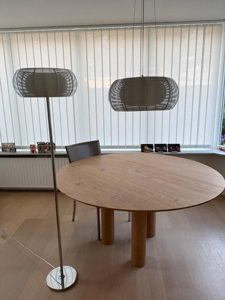 Draadstaal Hanglamp (in combi met Stalamp?), Ophalen, Gebruikt, Metaal, Modern, vintage, bolvormig design