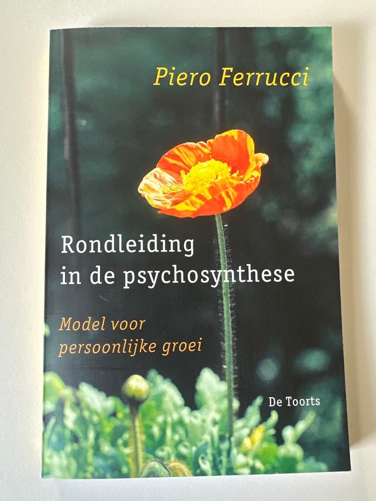 Rondleiding in de Psychosynthese - Piero Ferrucci, Ophalen of Verzenden, Zo goed als nieuw, Overige onderwerpen