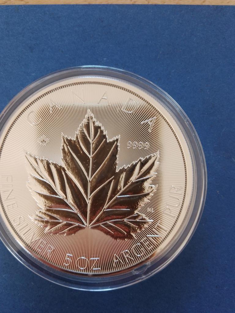 5 oz Maple Leaf 2026, Ophalen of Verzenden, Zilver