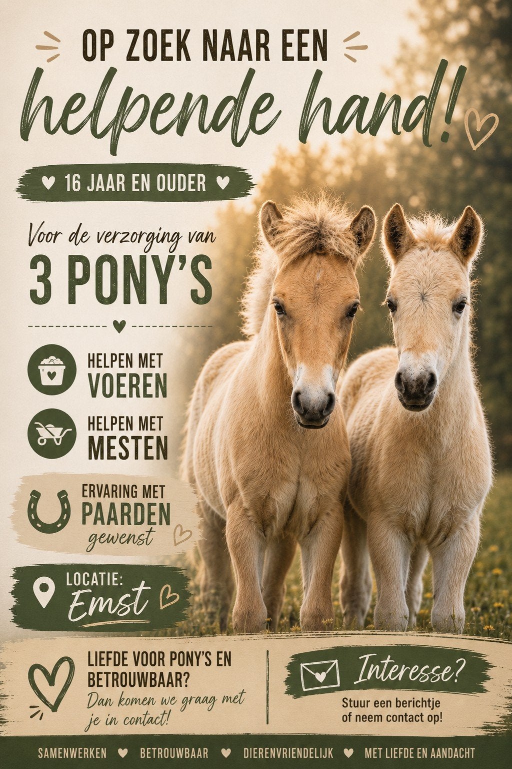 Stalhulp/verzorger gezocht voor 3 ponys in Emst, Ophalen