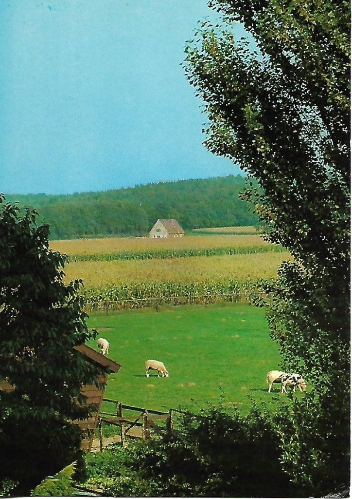 Beek- -Panorama., Verzenden, 1980 tot heden, Gelopen, Gelderland