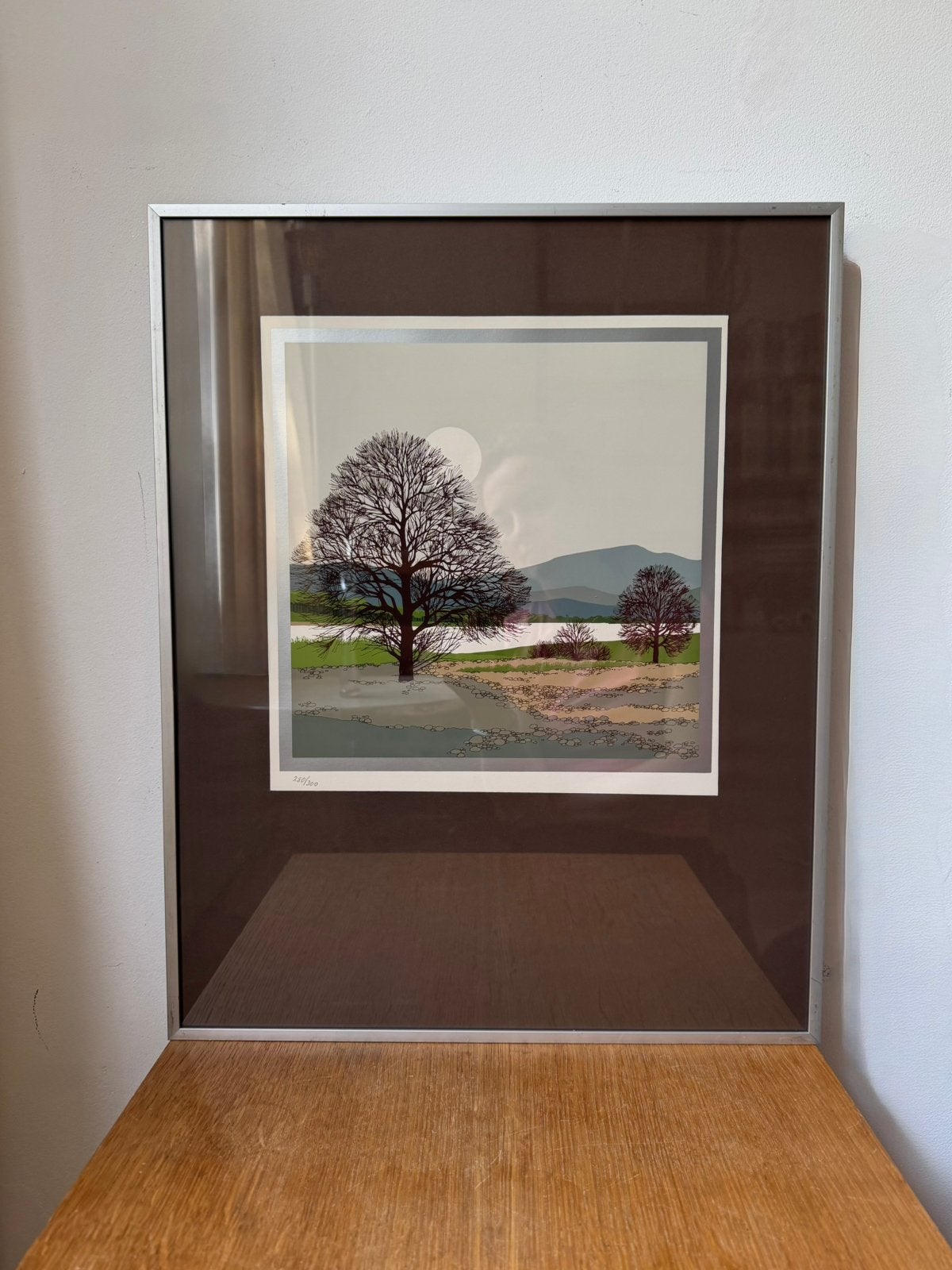 Gelimiteerde vintage zeefdruk (280/300), Antiek en Kunst, Kunst | Schilderijen | Klassiek, Ophalen of Verzenden