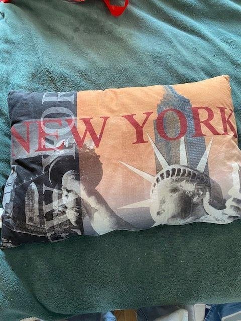 3 kussens en 1 kussenhoes o.a new york alleen in 1 koop, Ophalen, Gebruikt, Vierkant