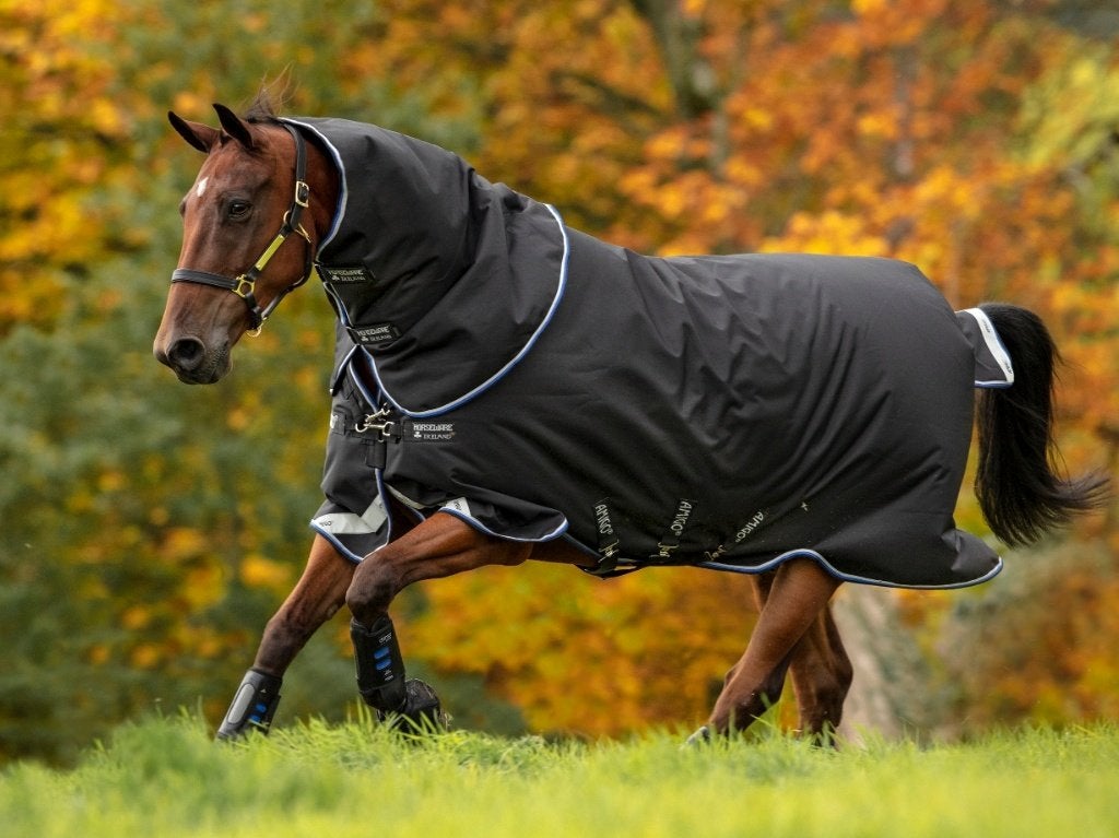 Amigo Bravo 250gr. met losse Hals, maat 175, 183, 213, Dieren en Toebehoren, Paarden en Pony's | Dekens en Dekjes, 250 g, Nieuw