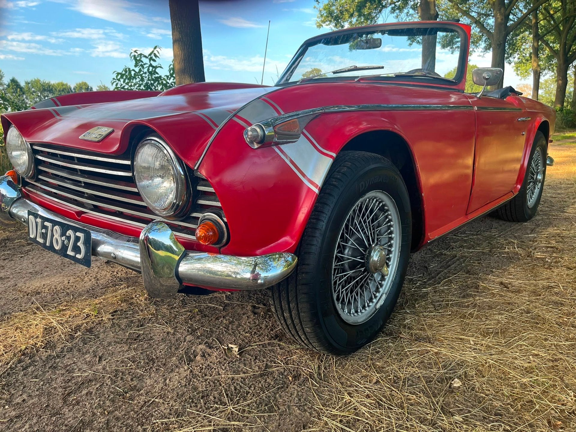 Triumph TR250 Gereviseerde motor, foto 9