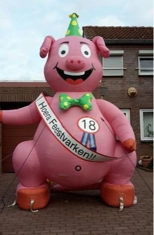 feestvarken te huur 50 jaar verjaardag abraham alle leeftijd, Ophalen, Nieuw, Abraham of Sarah