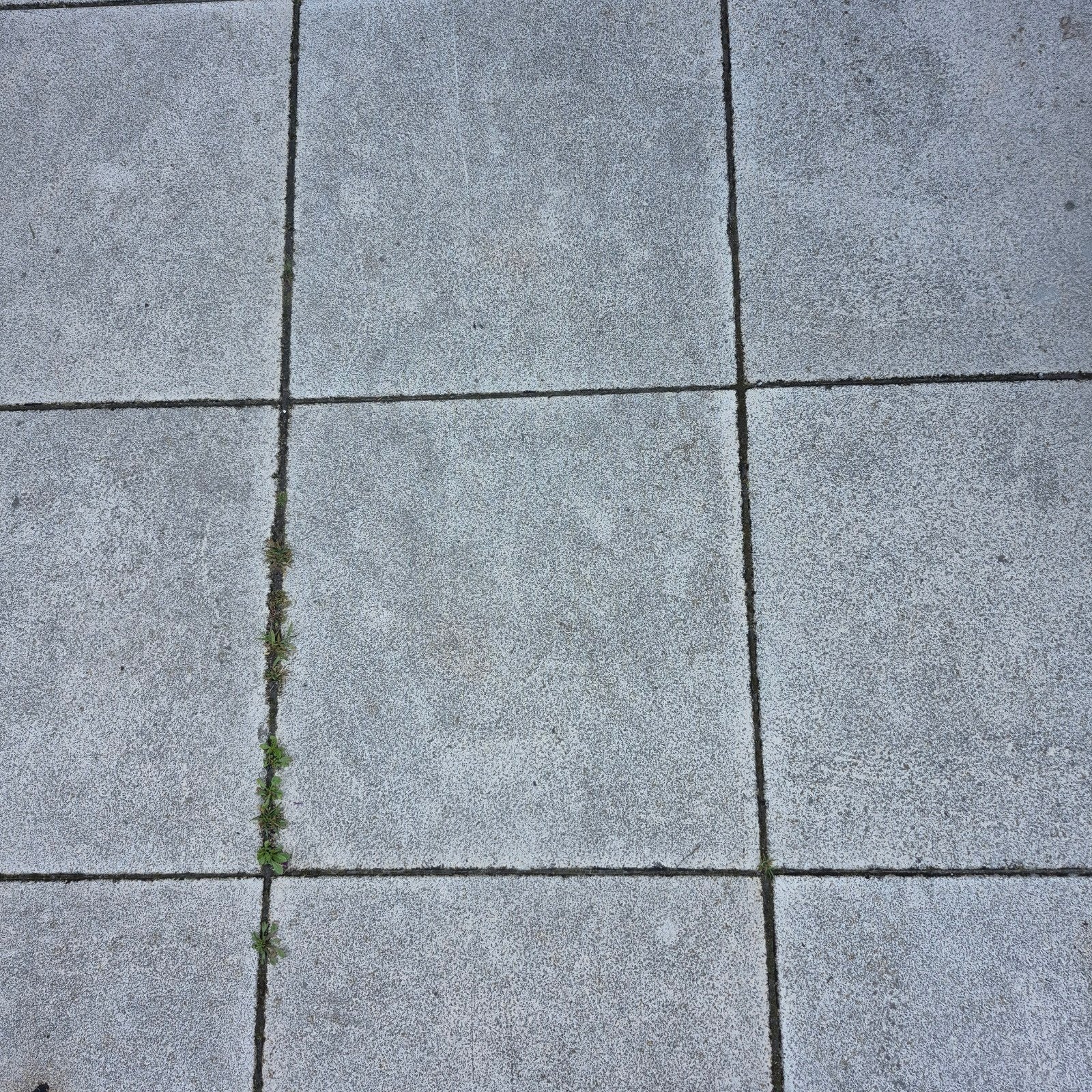 Gebruikte betontegels voor terras of pad, Tuin en Terras, Tegels en Klinkers, Ophalen, Gebruikt, 10 m² of meer, Beton