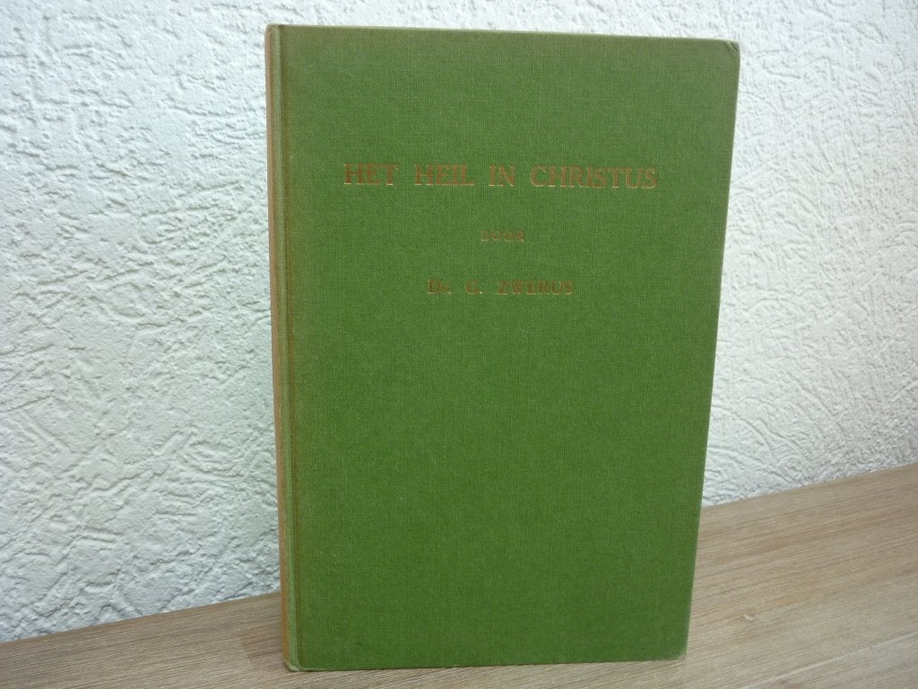 Ds. Zwerus - Het Heil in Christus zestal predikaties, Ophalen of Verzenden, Gelezen, Christendom | Protestants
