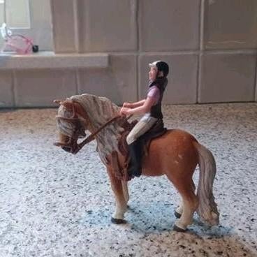 Leuke schleich set, Ophalen of Verzenden