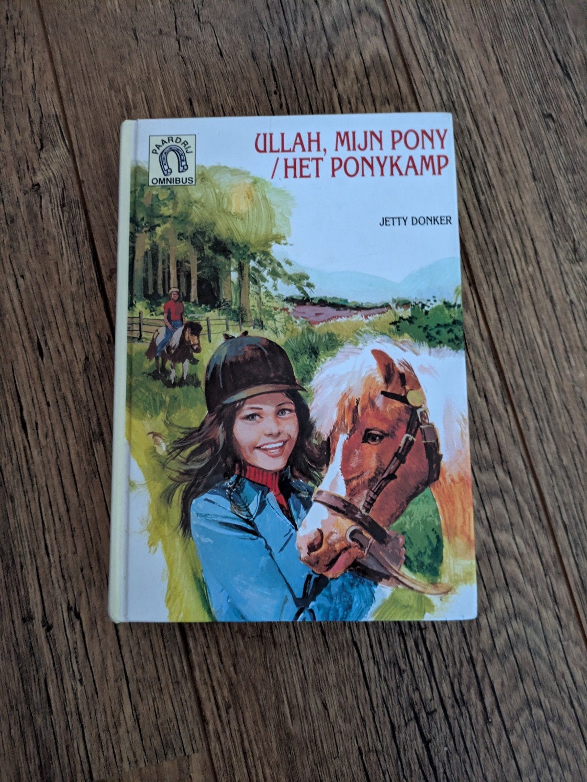 boek Ulla mijn pony/het ponykamp, Ophalen of Verzenden, Noord-Brabant