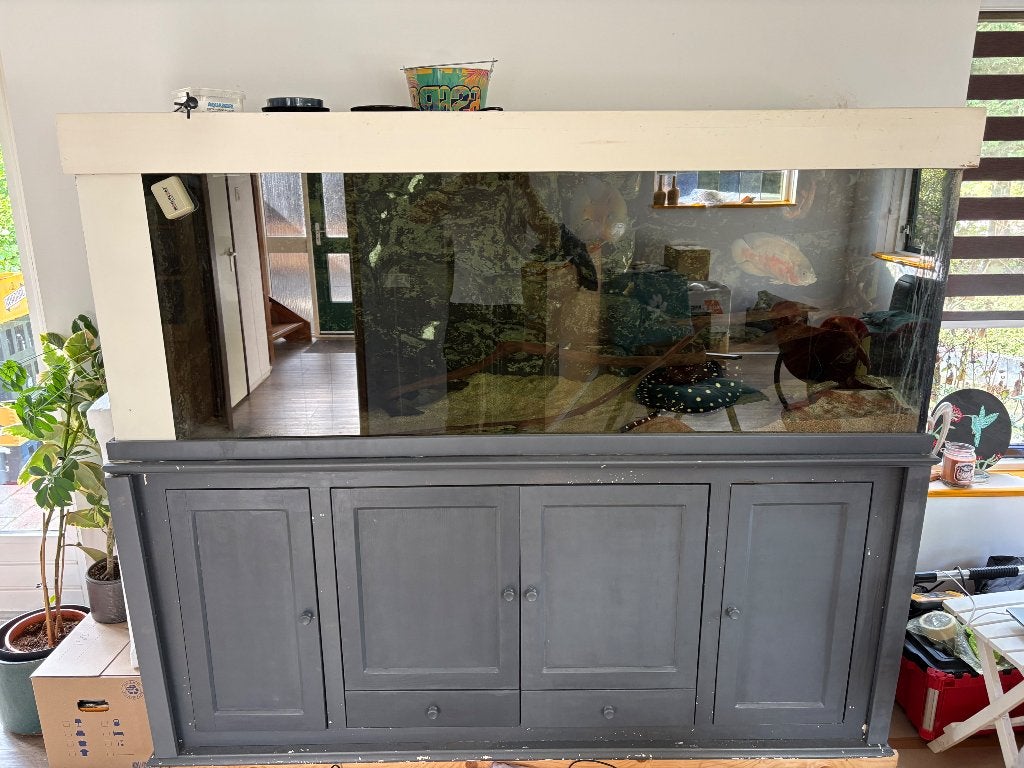 Aquarium 2 meter, Ophalen, Gebruikt, Overige merken, Gevuld zoetwateraquarium