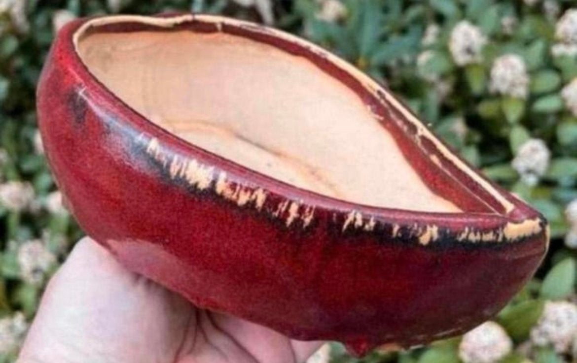 Bonsai schaal Ossenbloed rood geglazuurd aardewerk 19,7x14,4, Ophalen of Verzenden, Zo goed als nieuw, Overige vormen, Aardewerk