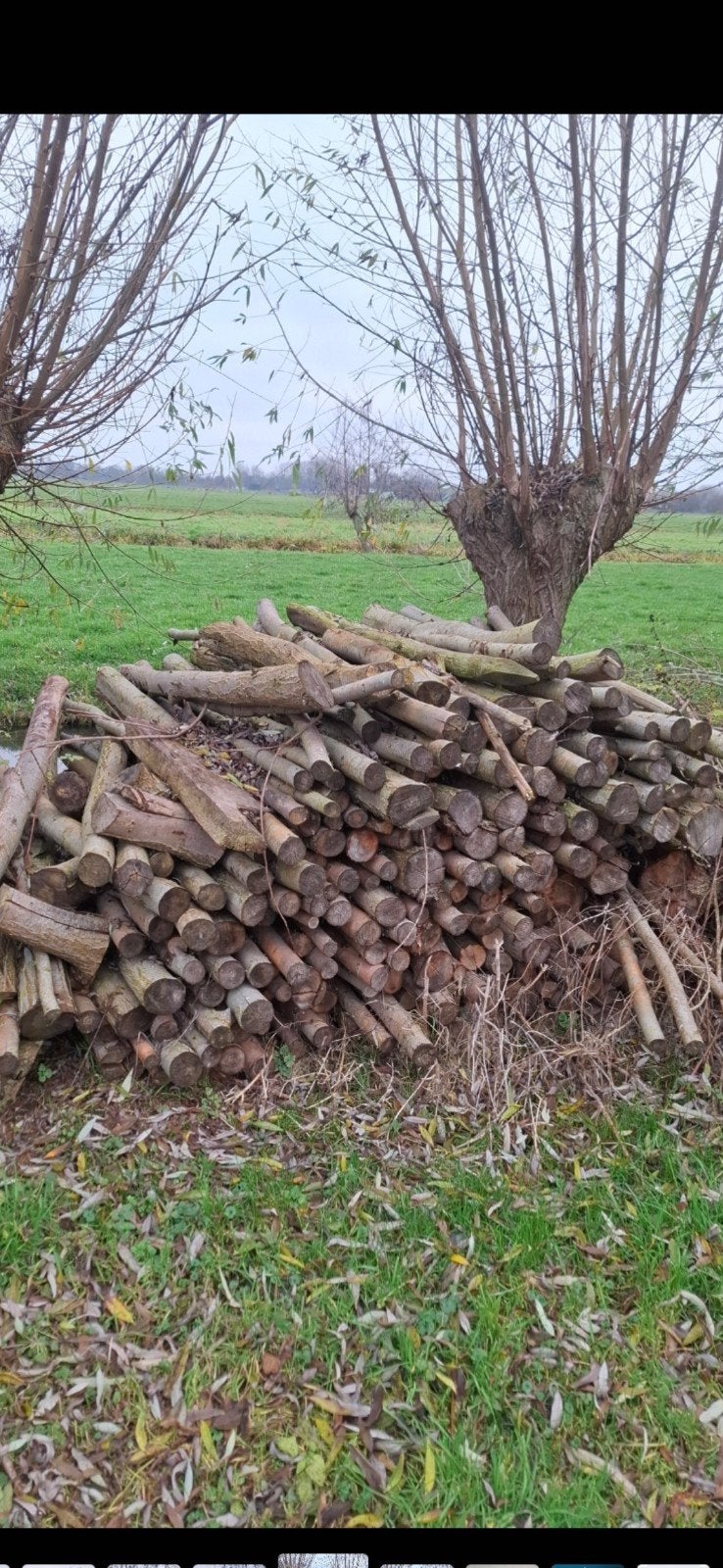 Meerdere stapels wilgenstammen beschikbaar, Tuin en Terras, Haardhout, Minder dan 3 m³, Ophalen of Verzenden